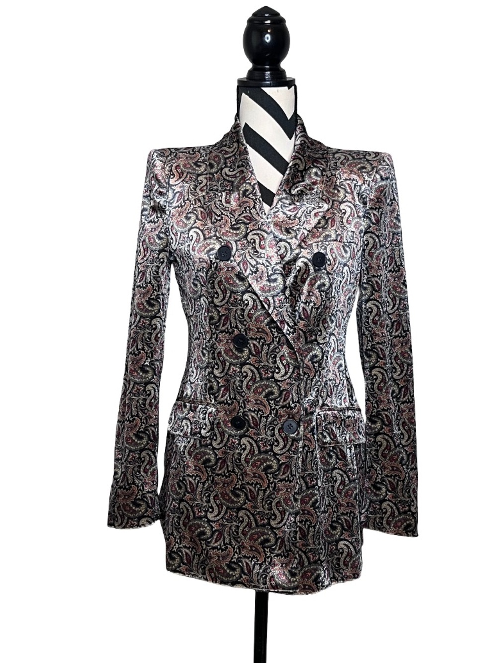 Zara Whimsigoth Velvet Victorian Tuxedo Blazer Sz M